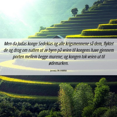 Picture 06 - Jeremia 39:4 NORSK - Men da Judas konge Sedekias og alle krigsmennene - Bible Verse Picture