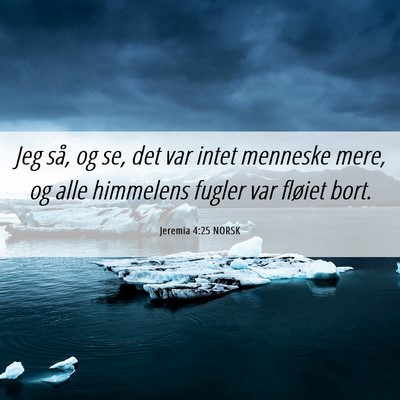 Picture 06 - Jeremia 4:25 NORSK - Jeg så, og se, det var intet menneske mere, og - Bible Verse Picture