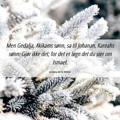 Picture 06 - Jeremia 40:16 NORSK - Men Gedalja, Akikams sønn, sa til Johanan, - Bible Verse Picture