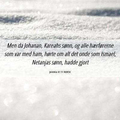 Picture 06 - Jeremia 41:11 NORSK - Men da Johanan, Kareahs sønn, og alle - Bible Verse Picture