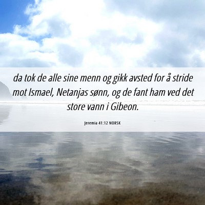 Picture 06 - Jeremia 41:12 NORSK - da tok de alle sine menn og gikk avsted for å - Bible Verse Picture