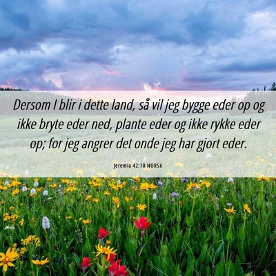 Picture 06 - Jeremia 42:10 NORSK - Dersom I blir i dette land, så vil jeg bygge - Bible Verse Picture