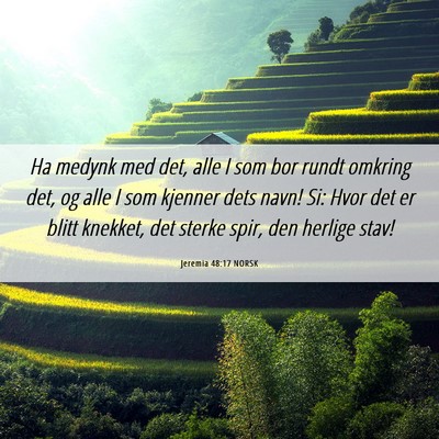 Picture 06 - Jeremia 48:17 NORSK - Ha medynk med det, alle I som bor rundt omkring - Bible Verse Picture
