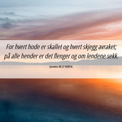 Picture 06 - Jeremia 48:37 NORSK - For hvert hode er skallet og hvert skjegg - Bible Verse Picture