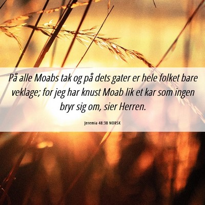 Picture 06 - Jeremia 48:38 NORSK - På alle Moabs tak og på dets gater er hele - Bible Verse Picture