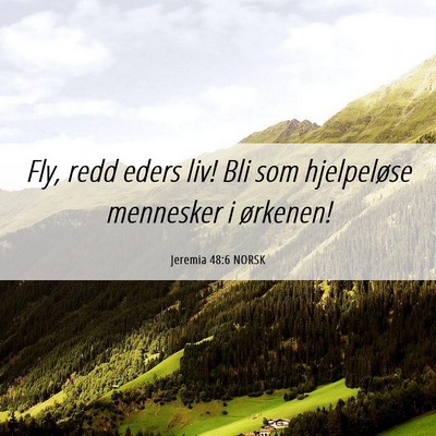 Picture 06 - Jeremia 48:6 NORSK - Fly, redd eders liv! Bli som hjelpeløse - Bible Verse Picture