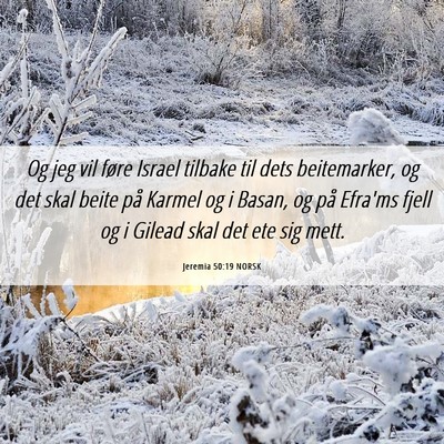 Picture 06 - Jeremia 50:19 NORSK - Og jeg vil føre Israel tilbake til dets - Bible Verse Picture