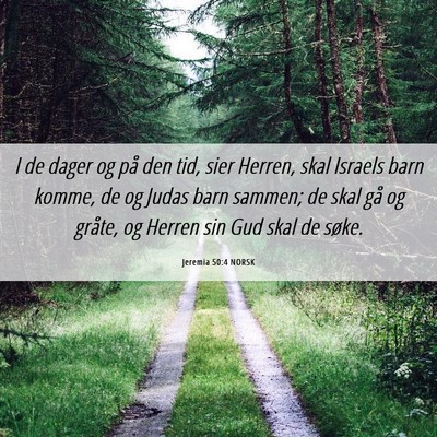 Picture 06 - Jeremia 50:4 NORSK - I de dager og på den tid, sier Herren, skal - Bible Verse Picture