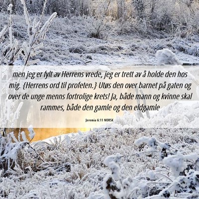 Picture 06 - Jeremia 6:11 NORSK - men jeg er fylt av Herrens vrede, jeg er trett av - Bible Verse Picture