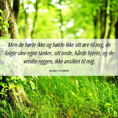 Picture 06 - Jeremia 7:24 NORSK - Men de hørte ikke og bøide ikke sitt øre til - Bible Verse Picture
