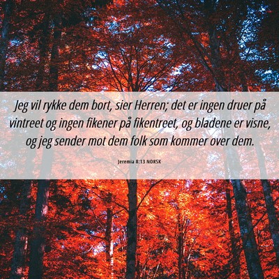 Picture 06 - Jeremia 8:13 NORSK - Jeg vil rykke dem bort, sier Herren; det er ingen - Bible Verse Picture