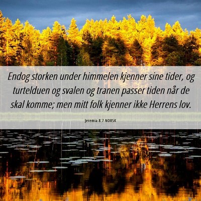 Picture 06 - Jeremia 8:7 NORSK - Endog storken under himmelen kjenner sine tider, - Bible Verse Picture
