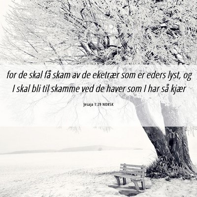 Picture 06 - Jesaja 1:29 NORSK - for de skal få skam av de eketrær som er eders - Bible Verse Picture