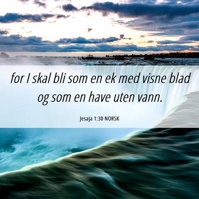 Picture 06 - Jesaja 1:30 NORSK - for I skal bli som en ek med visne blad og som en - Bible Verse Picture
