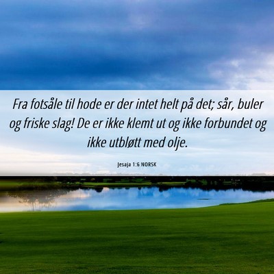 Picture 06 - Jesaja 1:6 NORSK - Fra fotsåle til hode er der intet helt på det; - Bible Verse Picture