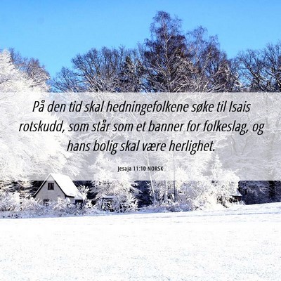 Picture 06 - Jesaja 11:10 NORSK - På den tid skal hedningefolkene søke til Isais - Bible Verse Picture