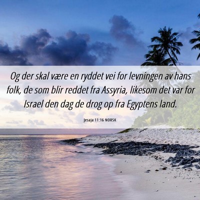 Picture 06 - Jesaja 11:16 NORSK - Og der skal være en ryddet vei for levningen av - Bible Verse Picture