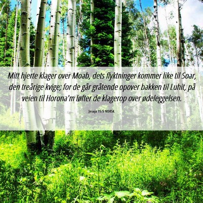 Picture 06 - Jesaja 15:5 NORSK - Mitt hjerte klager over Moab, dets flyktninger - Bible Verse Picture