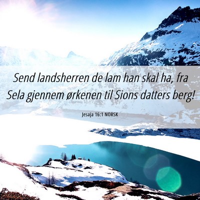 Picture 06 - Jesaja 16:1 NORSK - Send landsherren de lam han skal ha, fra Sela - Bible Verse Picture