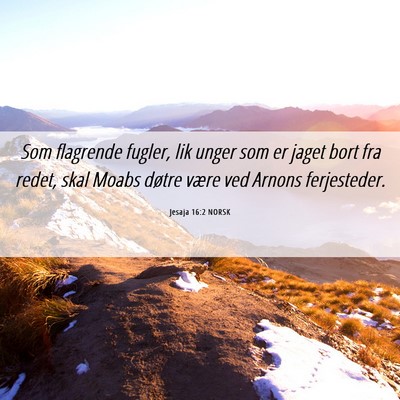 Picture 06 - Jesaja 16:2 NORSK - Som flagrende fugler, lik unger som er jaget bort - Bible Verse Picture