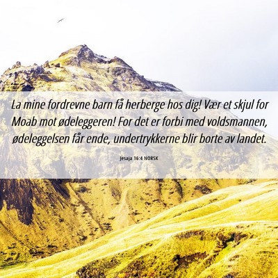 Picture 06 - Jesaja 16:4 NORSK - La mine fordrevne barn få herberge hos dig! Vær - Bible Verse Picture