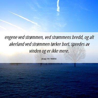 Picture 06 - Jesaja 19:7 NORSK - engene ved strømmen, ved strømmens bredd, og - Bible Verse Picture