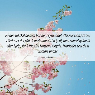 Picture 06 - Jesaja 20:6 NORSK - På den tid skal de som bor her i kystlandet, - Bible Verse Picture