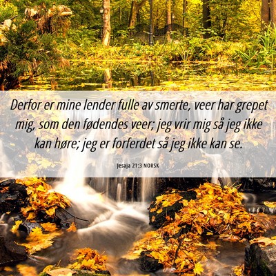 Picture 06 - Jesaja 21:3 NORSK - Derfor er mine lender fulle av smerte, veer har - Bible Verse Picture