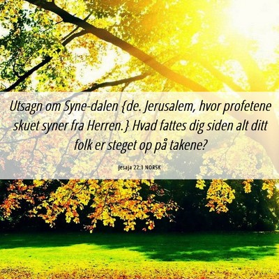 Picture 06 - Jesaja 22:1 NORSK - Utsagn om Syne-dalen {de. Jerusalem, hvor - Bible Verse Picture