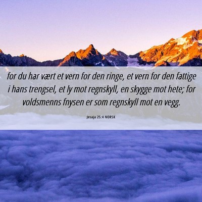 Picture 06 - Jesaja 25:4 NORSK - for du har vært et vern for den ringe, et vern - Bible Verse Picture