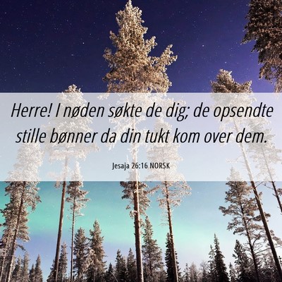 Picture 06 - Jesaja 26:16 NORSK - Herre! I nøden søkte de dig; de opsendte stille - Bible Verse Picture