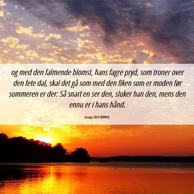 Picture 06 - Jesaja 28:4 NORSK - og med den falmende blomst, hans fagre pryd, som - Bible Verse Picture