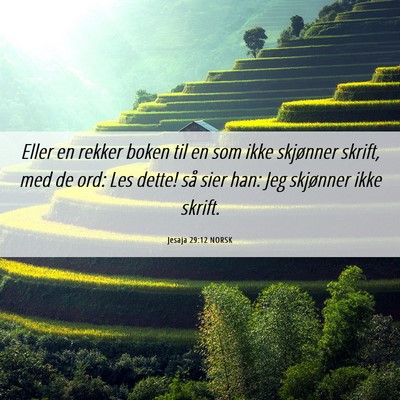 Picture 06 - Jesaja 29:12 NORSK - Eller en rekker boken til en som ikke skjønner - Bible Verse Picture