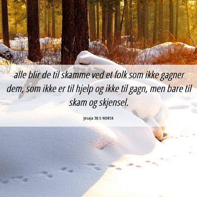 Picture 06 - Jesaja 30:5 NORSK - alle blir de til skamme ved et folk som ikke - Bible Verse Picture