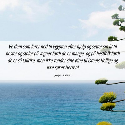 Picture 06 - Jesaja 31:1 NORSK - Ve dem som farer ned til Egypten efter hjelp og - Bible Verse Picture