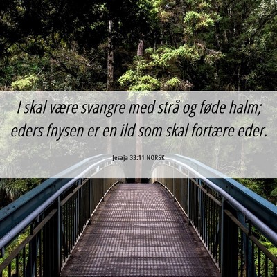 Picture 06 - Jesaja 33:11 NORSK - I skal være svangre med strå og føde halm; - Bible Verse Picture