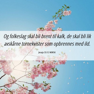 Picture 06 - Jesaja 33:12 NORSK - Og folkeslag skal bli brent til kalk, de skal bli - Bible Verse Picture
