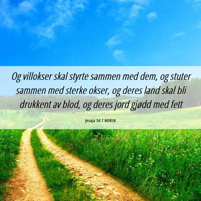 Picture 06 - Jesaja 34:7 NORSK - Og villokser skal styrte sammen med dem, og - Bible Verse Picture