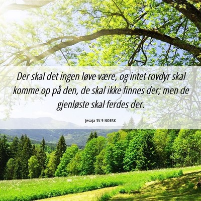 Picture 06 - Jesaja 35:9 NORSK - Der skal det ingen løve være, og intet rovdyr - Bible Verse Picture