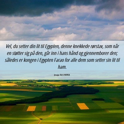 Picture 06 - Jesaja 36:6 NORSK - Vel, du setter din lit til Egypten, denne - Bible Verse Picture
