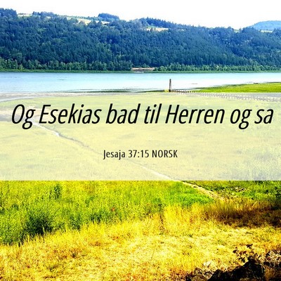 Picture 06 - Jesaja 37:15 NORSK - Og Esekias bad til Herren og - Bible Verse Picture