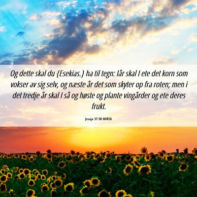 Picture 06 - Jesaja 37:30 NORSK - Og dette skal du {Esekias.} ha til tegn: Iår - Bible Verse Picture
