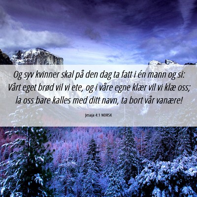 Picture 06 - Jesaja 4:1 NORSK - Og syv kvinner skal på den dag ta fatt i én - Bible Verse Picture