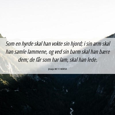 Picture 06 - Jesaja 40:11 NORSK - Som en hyrde skal han vokte sin hjord; i sin arm - Bible Verse Picture