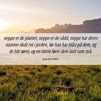 Picture 06 - Jesaja 40:24 NORSK - neppe er de plantet, neppe er de sådd, neppe har - Bible Verse Picture