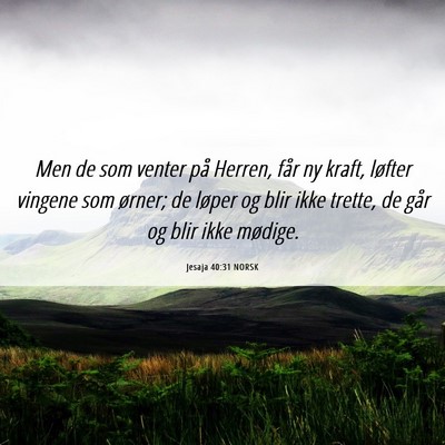 Picture 06 - Jesaja 40:31 NORSK - Men de som venter på Herren, får ny kraft, - Bible Verse Picture