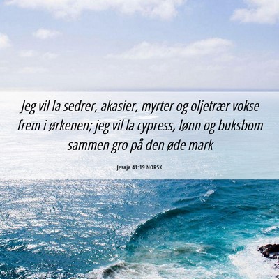 Picture 06 - Jesaja 41:19 NORSK - Jeg vil la sedrer, akasier, myrter og oljetrær - Bible Verse Picture