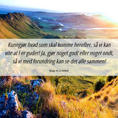 Picture 06 - Jesaja 41:23 NORSK - Kunngjør hvad som skal komme herefter, så vi - Bible Verse Picture
