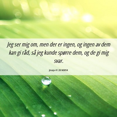 Picture 06 - Jesaja 41:28 NORSK - Jeg ser mig om, men der er ingen, og ingen av dem - Bible Verse Picture