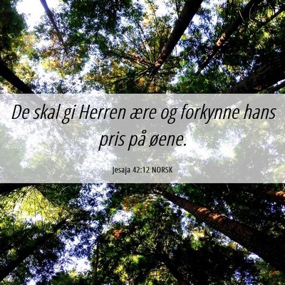 Picture 06 - Jesaja 42:12 NORSK - De skal gi Herren ære og forkynne hans pris på - Bible Verse Picture